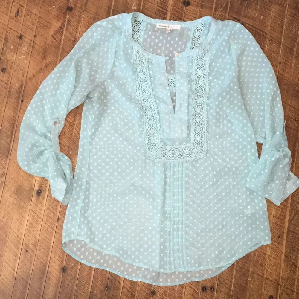Daniel Rainn pleated dotted Swiss peasant/boho top